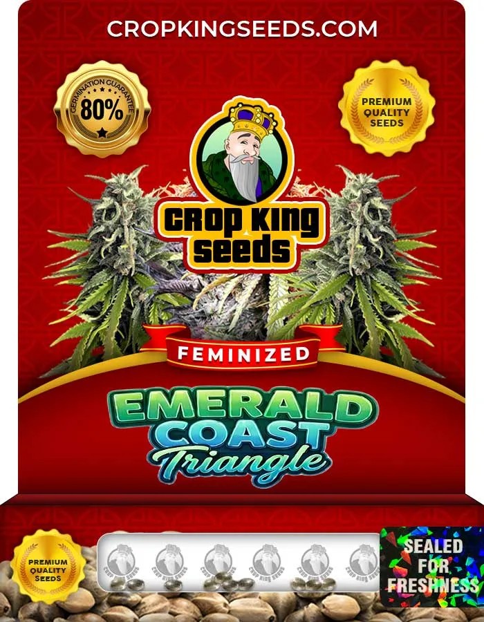 Emerald Coast Triangle Strain Feminized Seeds