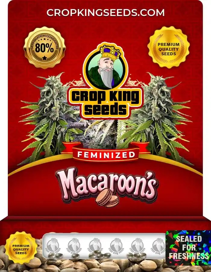Macaroons Feminized Seeds