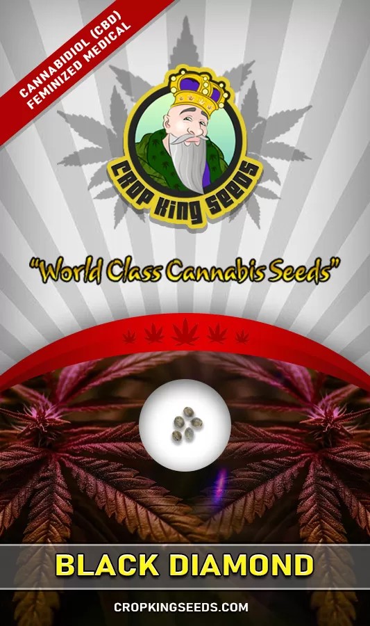 Black Diamond Strain CBD Marijuana Seeds