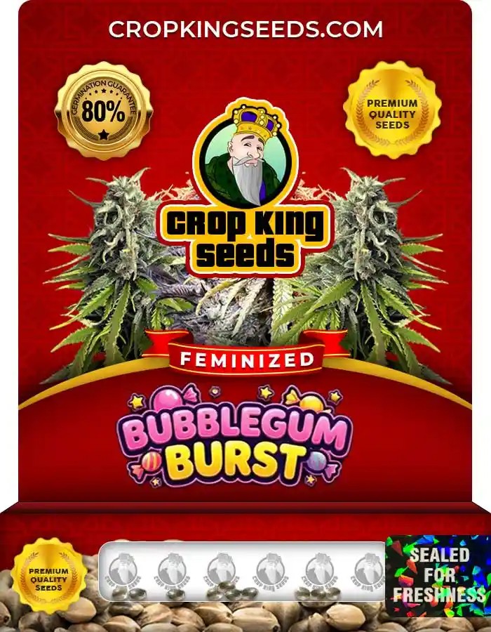 Bubblegum Burst Strain Feminized Seeds