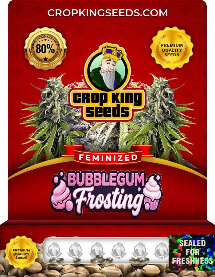 Bubblegum Frosting Strain Feminized Seeds