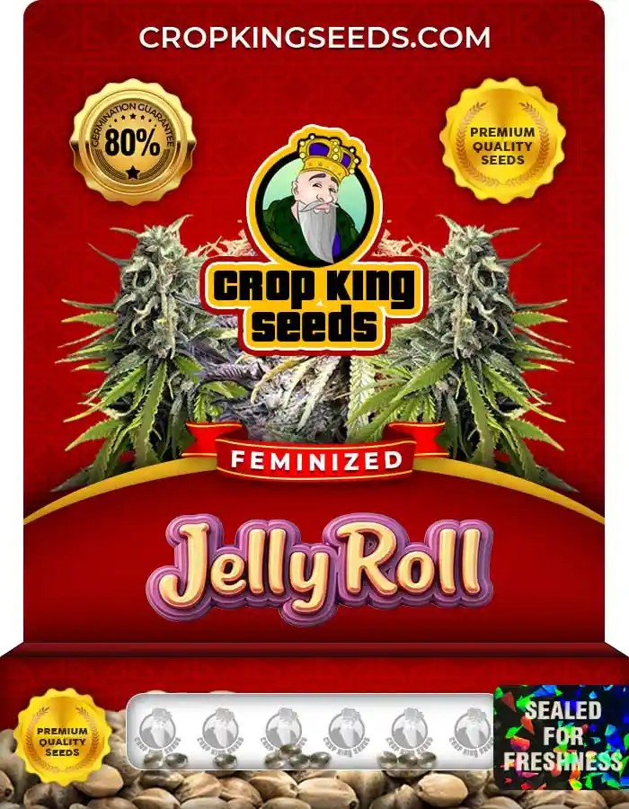 Jelly Roll Strain Feminized Marijuana Seeds