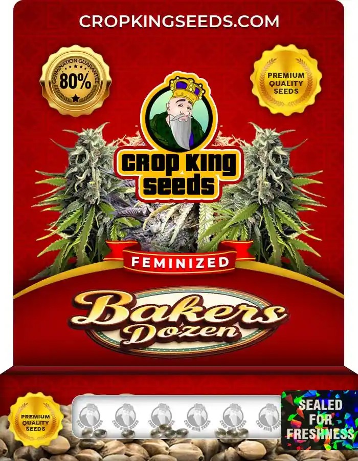Bakers Dozen Strain Feminized Marijuana Seeds