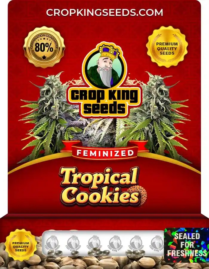 Tropical Cookies Strain Feminized Marijuana Seeds
