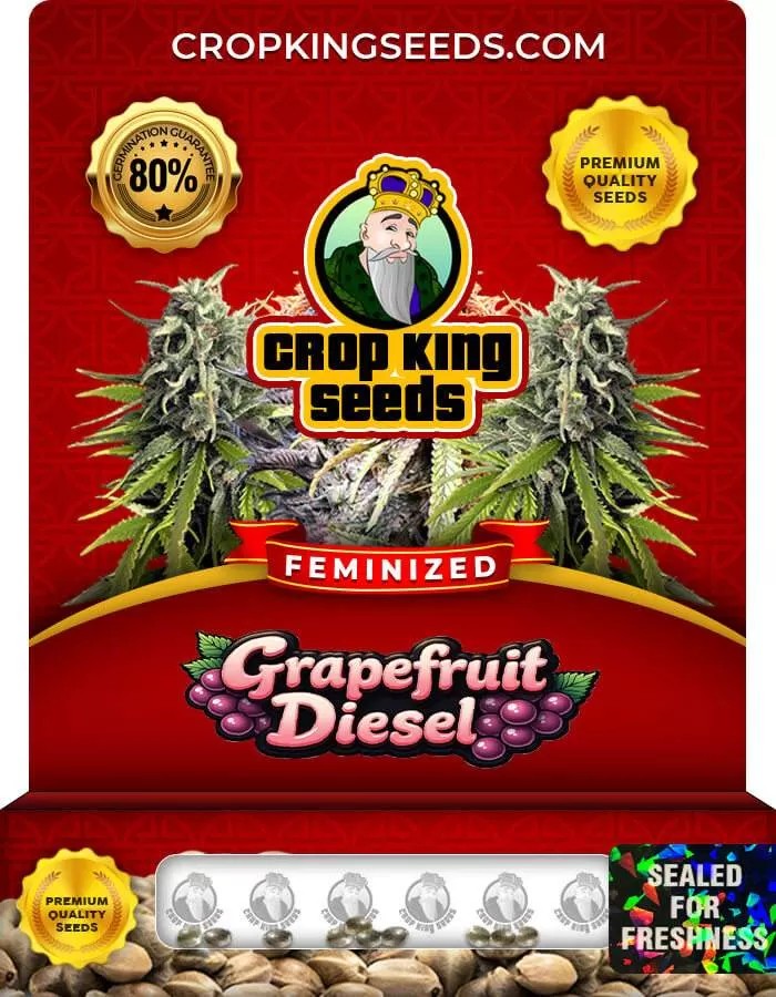 Grapefruit Diesel Feminized Seeds