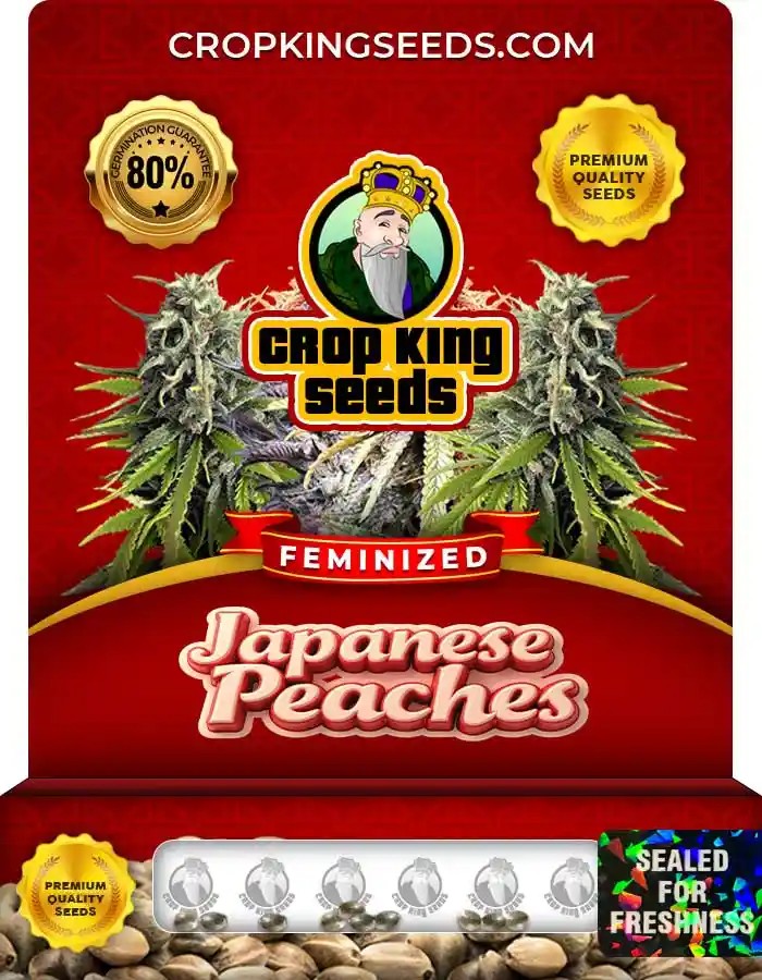 Japanese Peaches Strain Feminized Marijuana Seeds