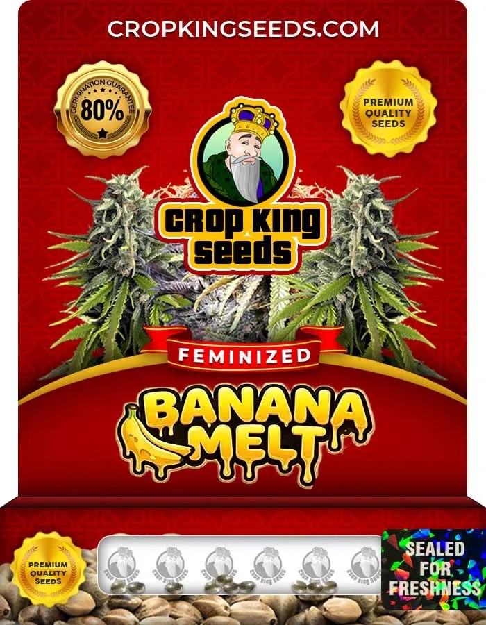 Banana Melt Strain Feminized Seeds