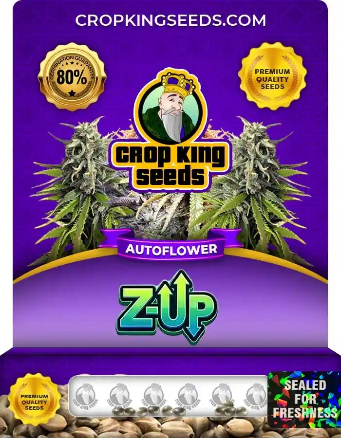 Z-Up Autoflower Seeds