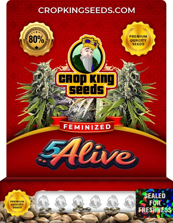 5 Alive Feminized Marijuana Seeds