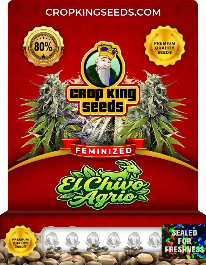 El Chivo Agrio Strain Feminized Seeds