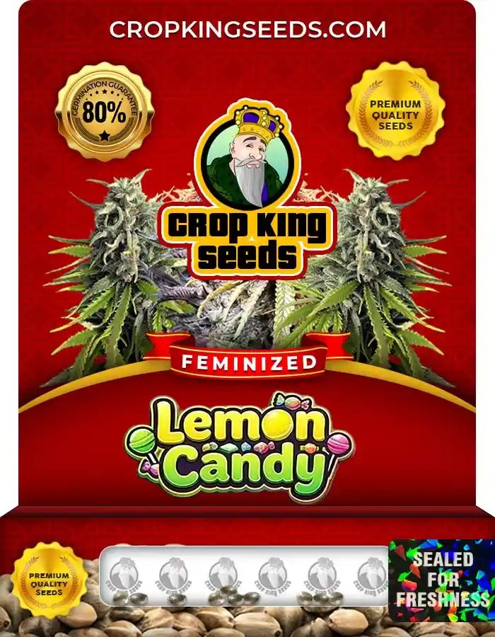 Lemon Candy Feminized Seeds