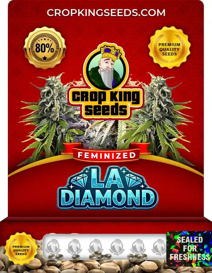 La Diamond Feminized Seeds