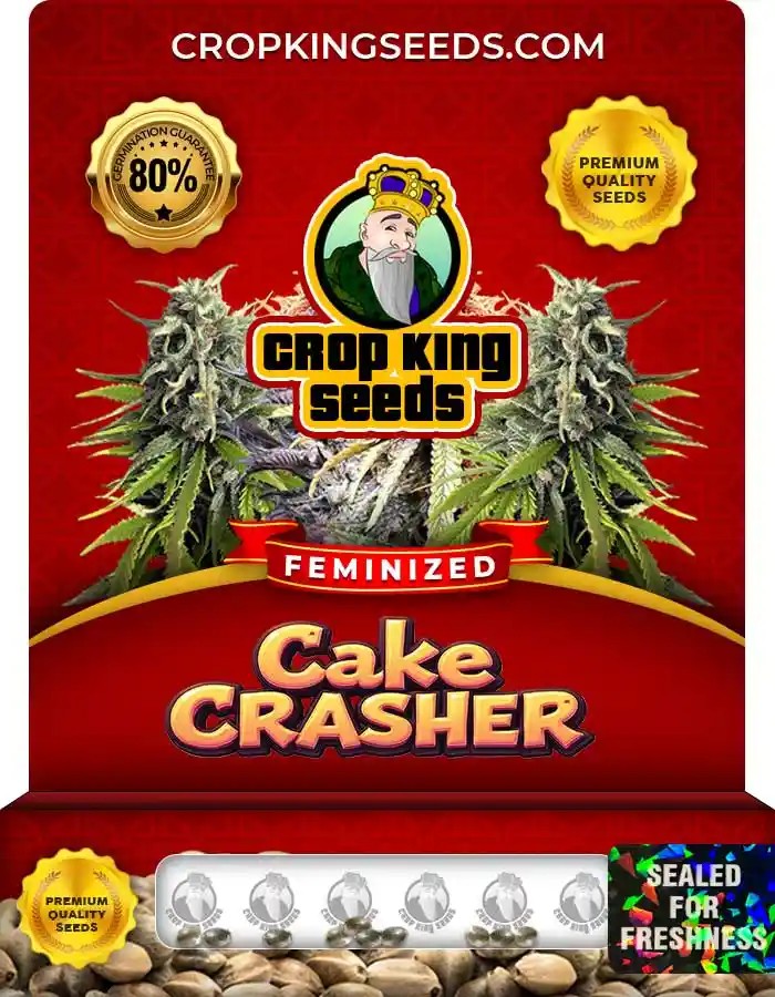 Cake Crasher Strain Feminized Marijuana Seeds