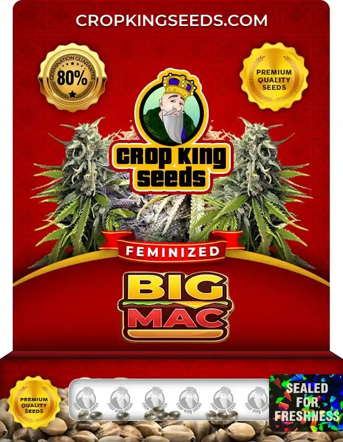 Big Mac Feminized Seeds