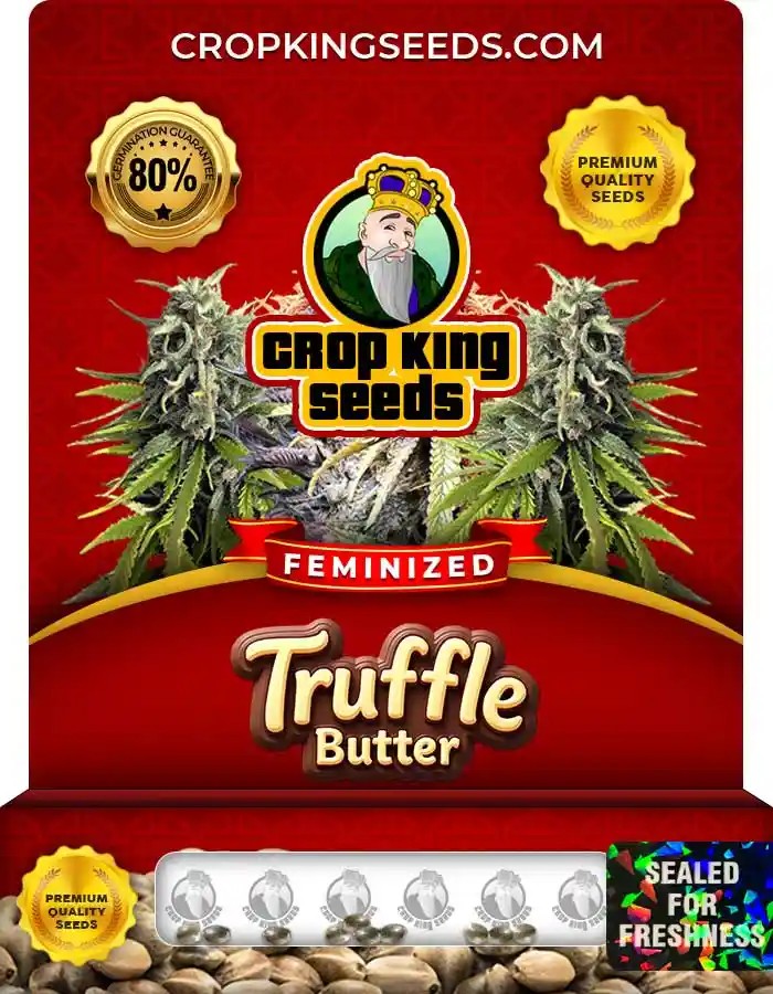 Truffle Butter Strain Feminized Marijuana Seeds