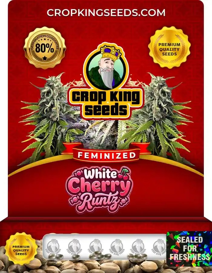 White Cherry Runtz Strain Feminized Marijuana Seeds
