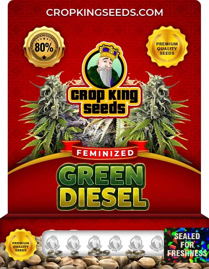 Green Diesel Strain Feminized Seeds