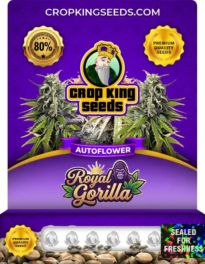 Royal Gorilla Autoflower Seeds