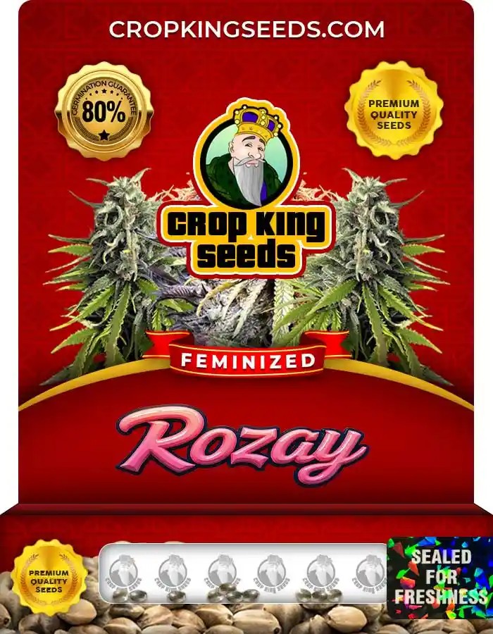 Rozay Strain Feminized Marijuana Seeds