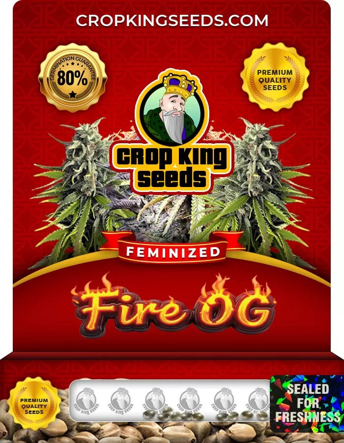 Fire OG Feminized Marijuana Seeds