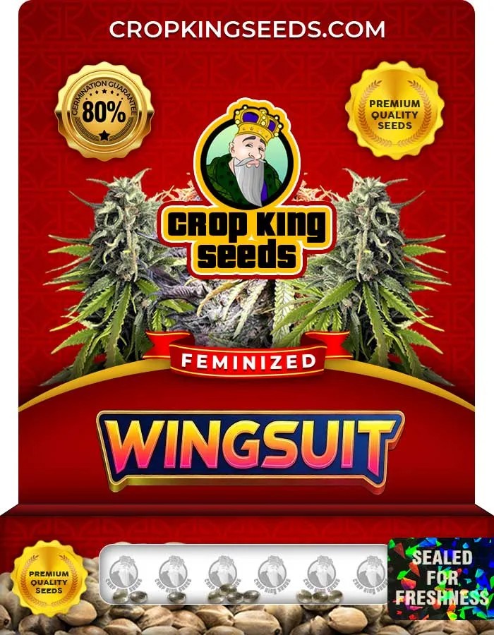 Wingsuit Strain Feminized Seeds