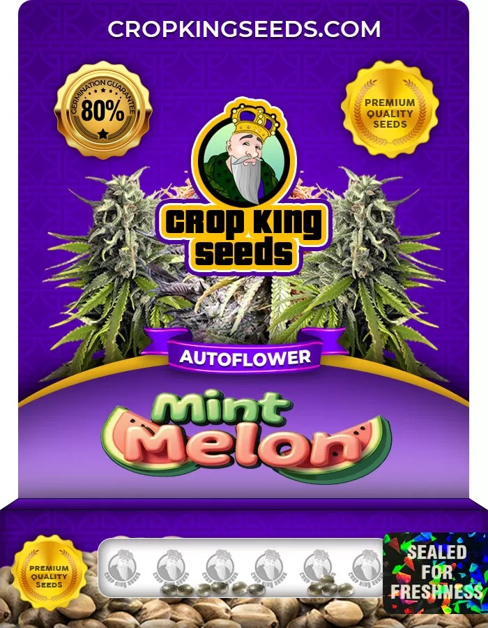 Mint Melon Autoflower Marijuana Seeds