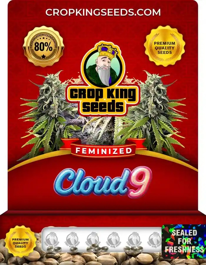 Cloud 9 Strain Feminized Marijuana Seeds