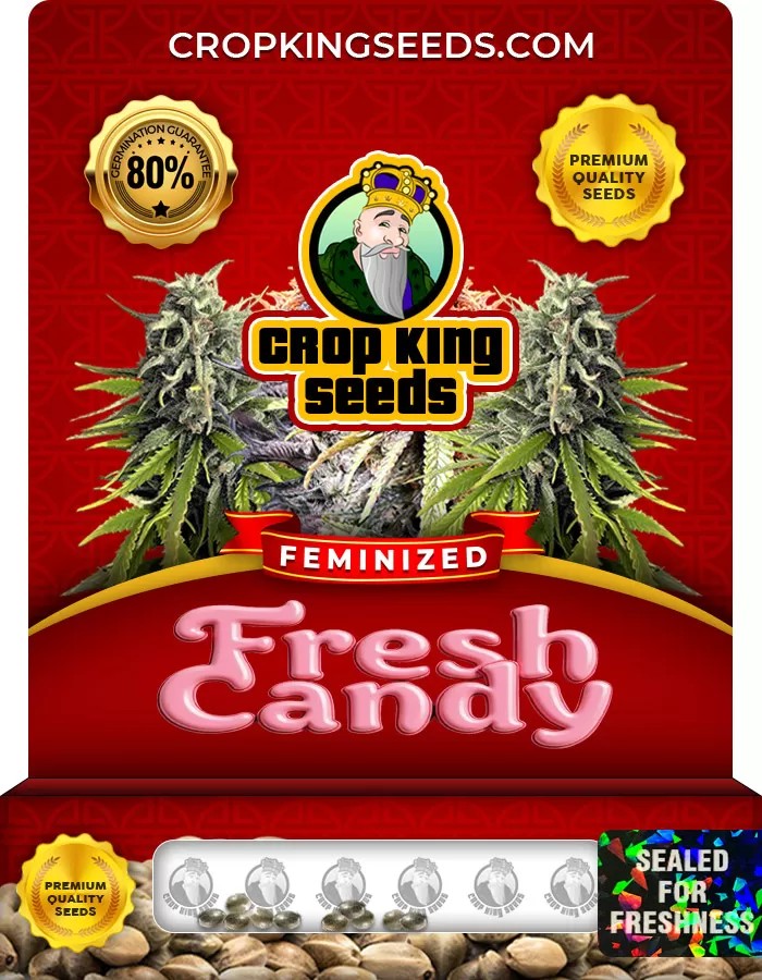 Fresh Candy Feminized Marijuana Seeds