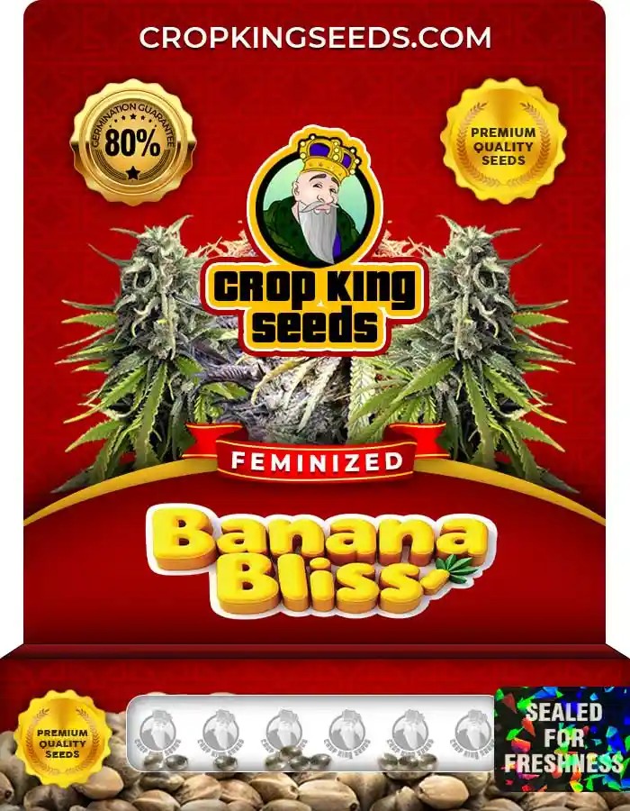 Banana Bliss Feminized Seeds