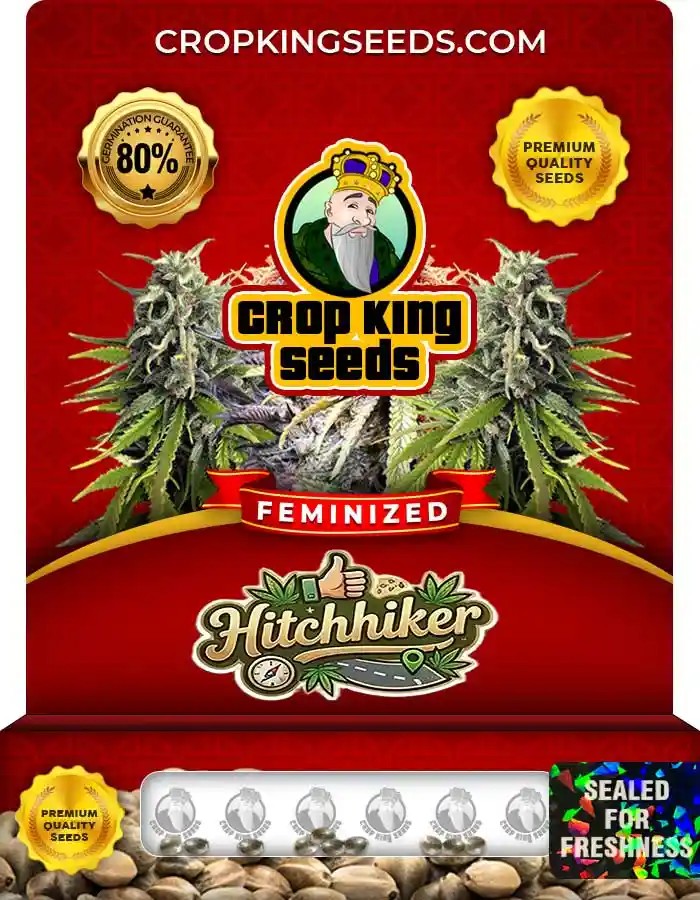 Hitchhiker Strain Feminized Marijuana Seeds
