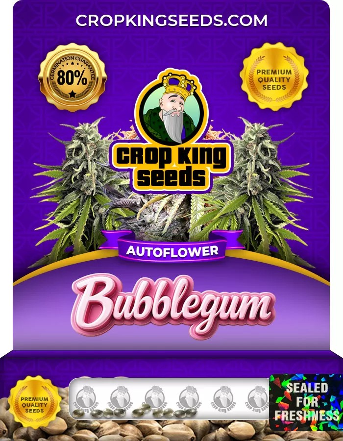 Bubblegum Autoflowering Marijuana Seeds
