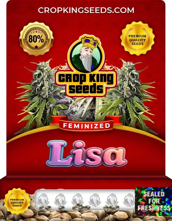 Lisa Strain Feminized Marijuana Seeds