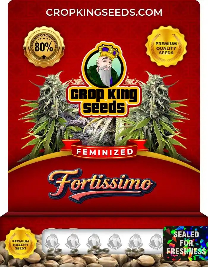 Fortissimo Feminized Seeds