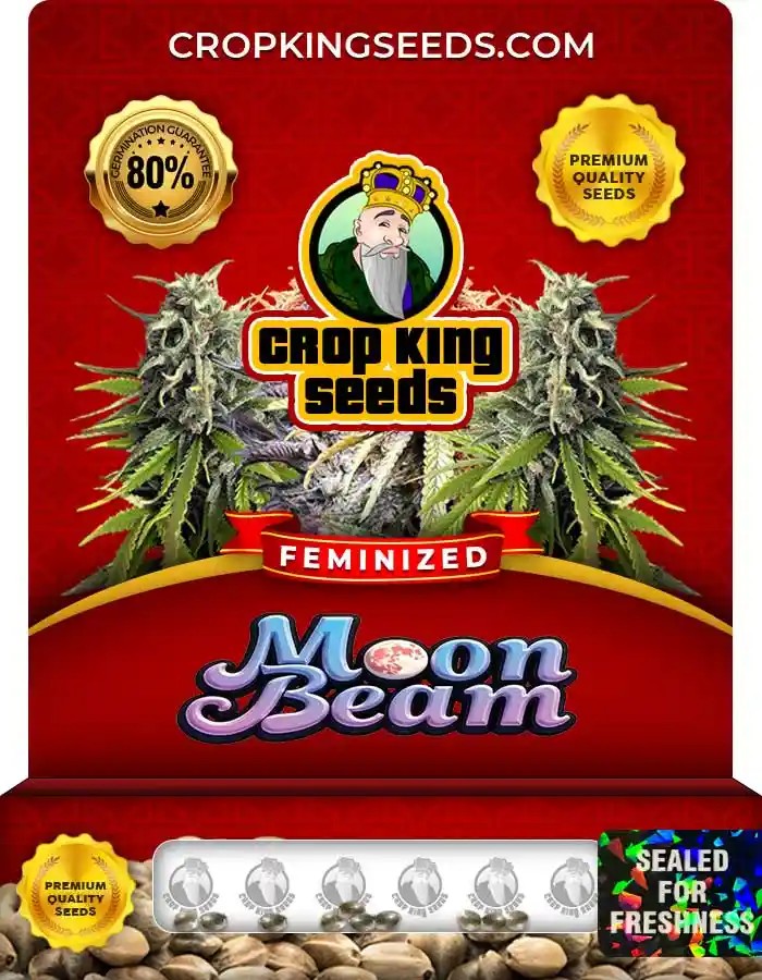 Moon Beam Feminized Seeds