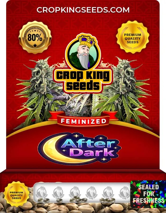 After Dark Strain Feminized Seeds