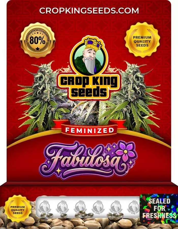 Fabulosa Strain Feminized Seeds