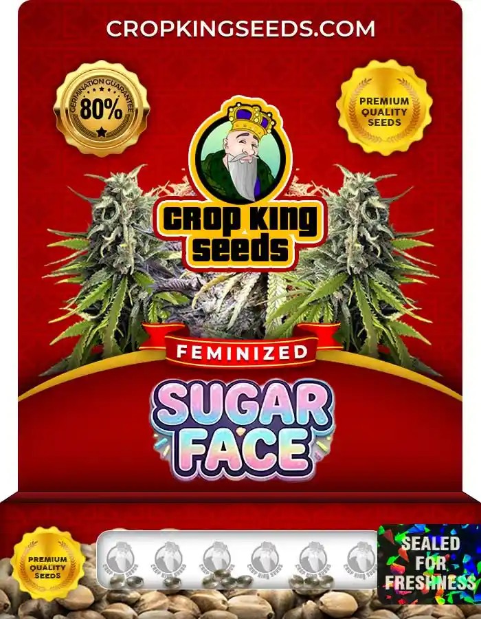 Sugar Face Feminized Seeds