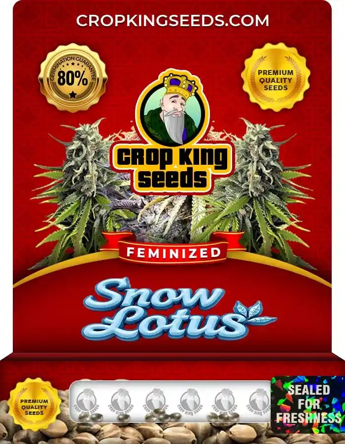 Snow Lotus Feminized Seeds