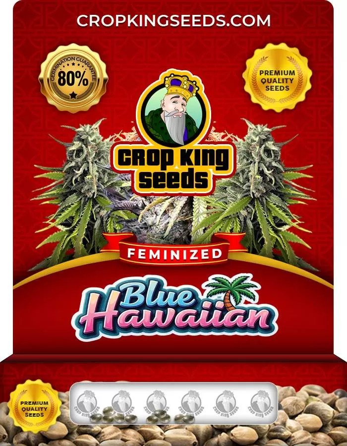 Blue Hawaiian Strain Feminized Marijuana Seeds