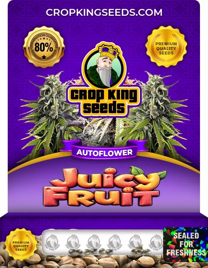 Juicy Fruit Autoflower Marijuana Seeds