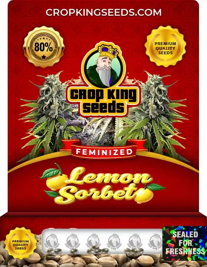 Lemon Sorbet Strain Feminized Marijuana Seeds