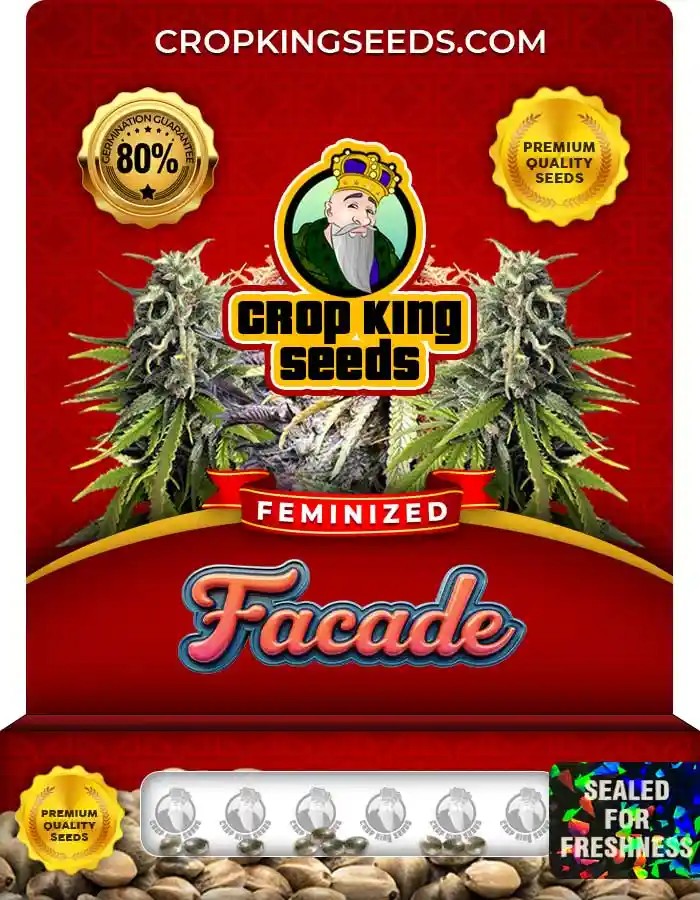 Facade Strain Feminized Marijuana Seeds