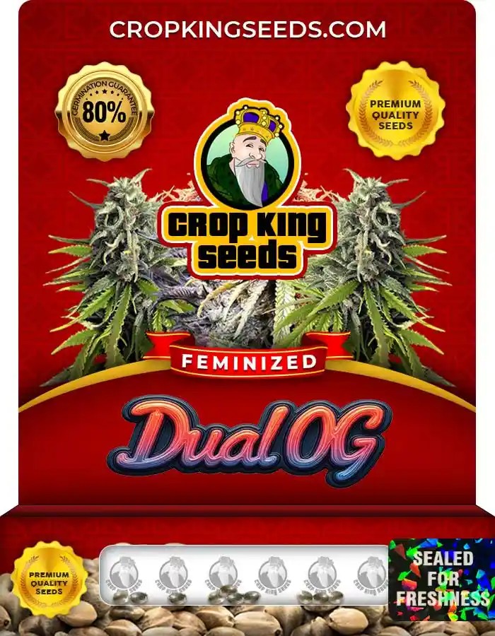 Dual OG Strain Feminized Marijuana Seeds