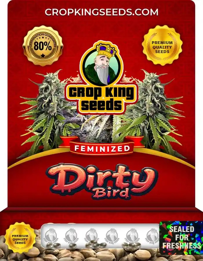 Dirty Bird Strain Feminized Marijuana Seeds