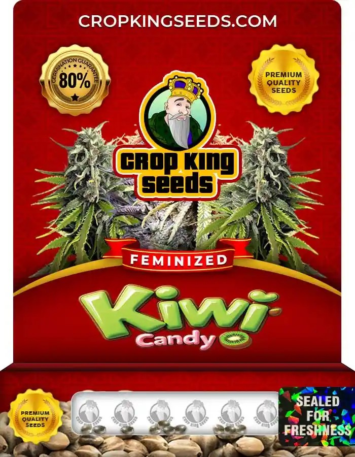Kiwi Candy Feminized Seeds