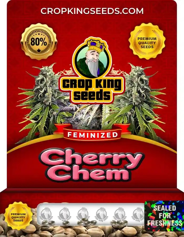 Cherry Chem Strain Feminized Marijuana Seeds