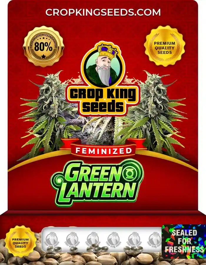 Green Lantern Strain Feminized Marijuana Seeds