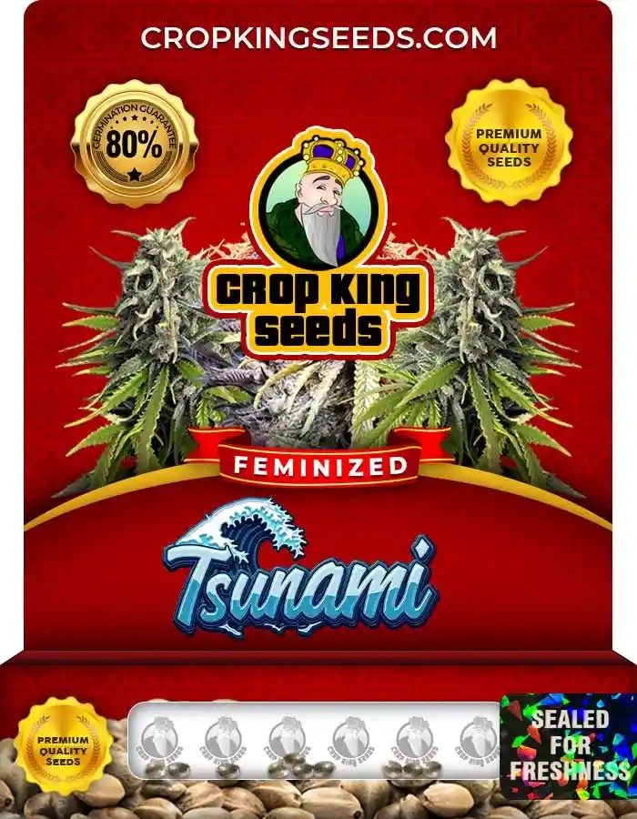 Tsunami Strain Feminized Marijuana Seeds