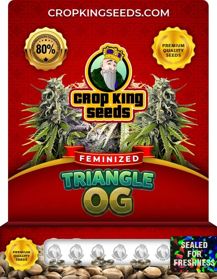 Triangle Og Strain Feminized Seeds