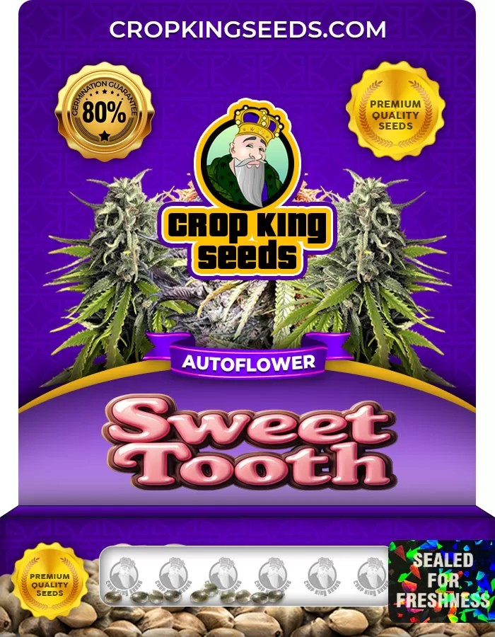 Sweet Tooth Autoflower Marijuana Seeds